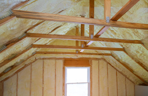 Best Geographic-Specific Insulation Services in Pacheco, CA